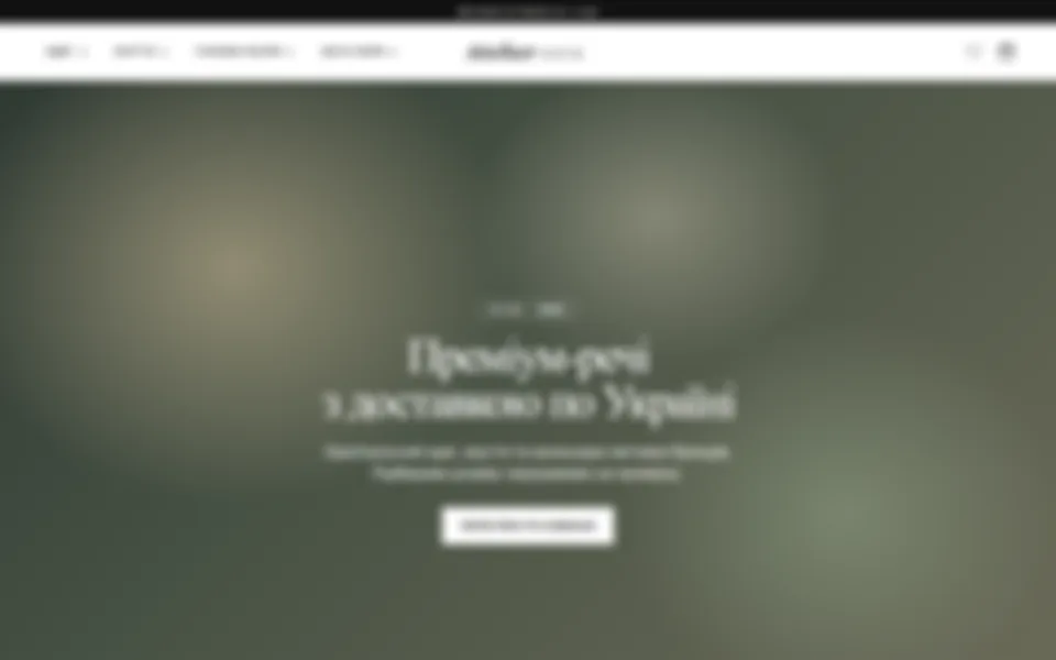 Інтернет-магазин одягу: сайт на Shopify і бот-операційник — екран 1